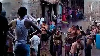 Holi kujapi 2014