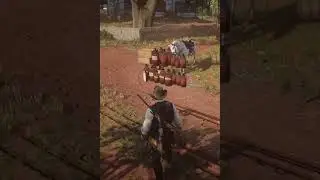 RDR2: Bugs - Flying Medicine