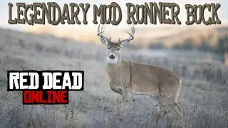 Legendary Mud Runner Buck | Red Dead Online [4K]