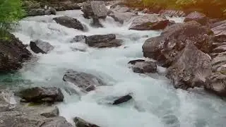 Healing Music for Inner Peace 🌿Calm Nature Sounds for Stress Release & Deep Sleep, Relaxing Music🌿