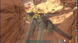 ARK - BEST OF PVP 1
