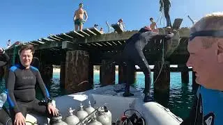 diving CapVerde/Sal