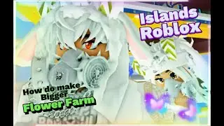 Islands Best Auto Flower Farm for Lavender