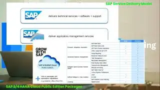 🚀 Differentiating GROW and RISE with SAP: Choosing the Right Cloud ERP Path ☁️
