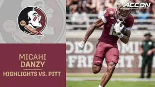 Florida State WR Micahi Danzy Highlights vs. Pitt
