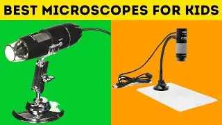 5 Best Microscopes For Kids in 2020