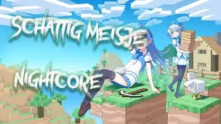Nightcore - Schattig Meisje [DusDavid] Ft, Milan Knol