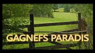 THE STATIONZ - GAGNEFS PARADIS