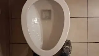 Rare Sloan Pressure Assisted Tank Toilet