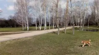 Elephone S7 (Helio X25)  - Camera Test and Full Review (link)