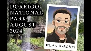 FLASHBACK: Dorrigo National Park &ndash; August 2024