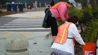 Environment: Clean-up Events