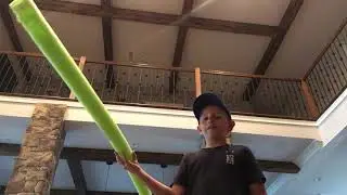 Pool noodle fight