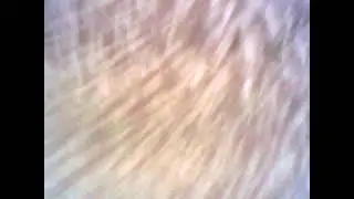 Noclip