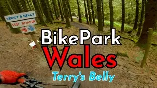 BikePark Wales | Terry's Belly 