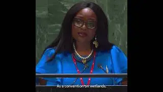 UN 2023 Water Conference - Dr Musonda Mumba