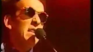 elvis costello alison