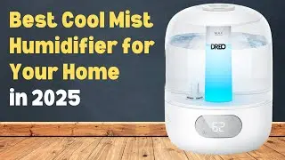 Dreo Humidifiers HM306 for Bedroom Review: The Best Cool Mist Humidifier for Your Home in 2025