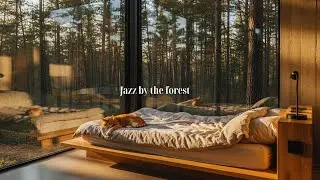 𝐏𝐥𝐚𝐲𝐥𝐢𝐬𝐭 l 숲이 머무는 집, 편안하게 흐르는 재즈ㅣmusic