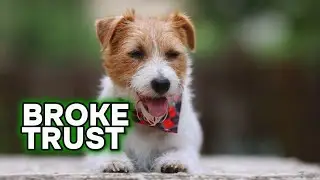 3 Ways a Pet Care Company Broke Trust — and What a Good Company Would Do Instead Biddrup Mallick