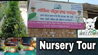 Delhi Govind Nursery Visit Rithala Mode plants with price  Indoor & Outdoor Plants Wholesaler