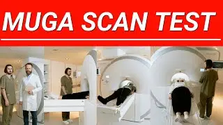 MUGA SCAN TEST 2026