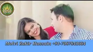 Muslim Astrologer Zakir Hussain Ask Any Question To Your Love Problem Marriage Problem