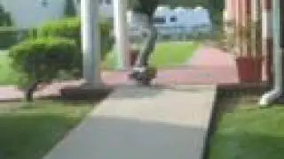 Purple Shoes Skate Video