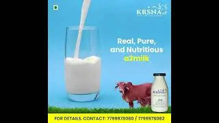 KrsnaA2milk - Experience Pure Nourishment with Our Premium Gir Cow A2 Milk in Hyderabad!