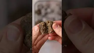 Bliss Balls Recipe (suitable for older babies and toddlers)