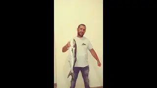 Pesce Serra da 3 kg  dal kayak