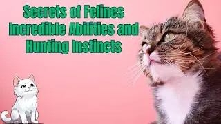 Feline Secrets Incredible Abilities and Hunting Instincts