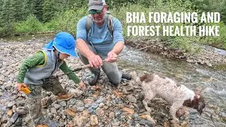 Y2E21: BHA Foraging and Forest Health Hike