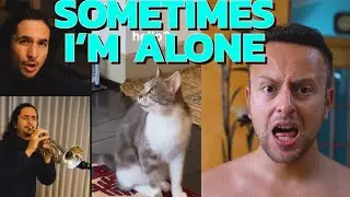 The Kiffness - Spaul SOMETIMES I'M ALONE Cat HD Rock remix