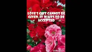 #lovequotes #lovemotivation |Best compilation of 2021| part 5