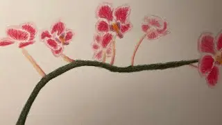 Flower drawing with soft pastels