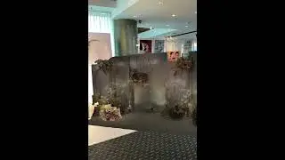 3D Virtual Decoration