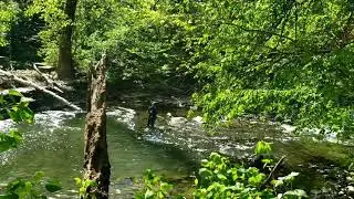Hiking Wissahickon Valley Park