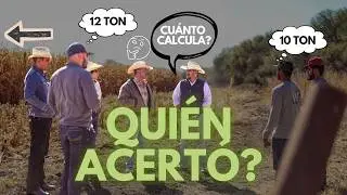 ASÍ SE ESTIMA EL RENDIMIENTO DE MAÍZ | RETO EN CAMPO CON PREMIO