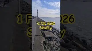 Воскресенье, 01.02.2026. #путешествия #тренды #шорты #короткоевидео #юбкасшортами #ytshorts #yt