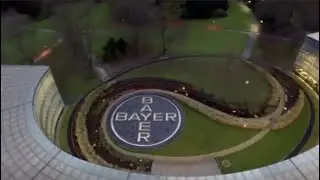 Bayer shares plunge 13 percent