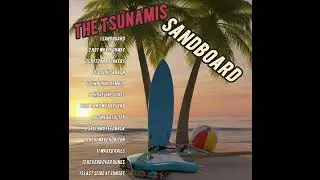 Dry Sand Wet Reverb-the tsunamis 