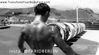 Hammer Grip /neutral grip Pull Ups  my favourite @faridberlin