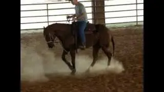 MOV07057 horsn9 beckette junior 092112