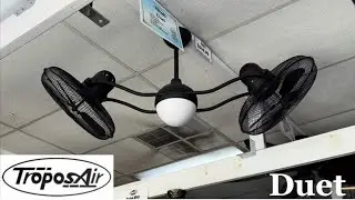 50&rdquo; TroposAir Duet ceiling fan 