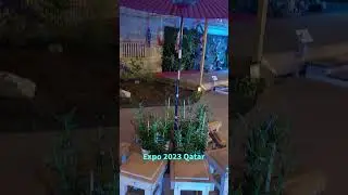 Expo Qatar concludes 🌱🌿🐡  #expo2023 #shorts #shortvideo #shortsfeed #viral
