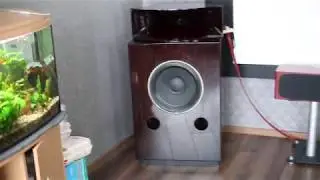 Рупорная акустика, Gauss 5831 + Radian 850pb