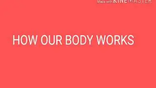 How our body works (chapter-2)