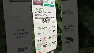 Viral Twinkling Lights Home Depot Christmas Tree | Grand Duchess Balsam Fir