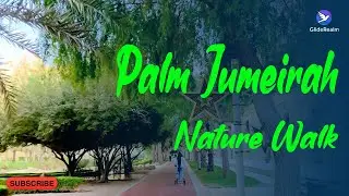 Palm Jumeirah Nature Walk | Dubai | UAE | Street Walk | #palmjumeirah #dubai #uae | #streetwalk